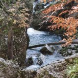 L'eau vive en Chartreuse