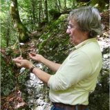 Démonstration de sourcier