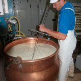 la fabrication artisanale du fromage : le découpé du caillé