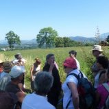 Sur le chemin devant le paysage