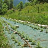 5.La culture des plantes