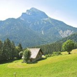 1.LES PETITS JARDINIERS