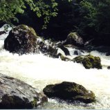 La course effrénée du Guiers