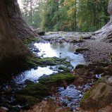 La source du Guiers Mort