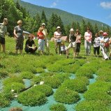 3.Des visiteurs attentifs..