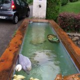 Bassin à St Pierre d'Entremont