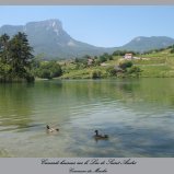Le lac de St André
