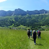 8 juin 2019 - La flore et les eaux du plateau